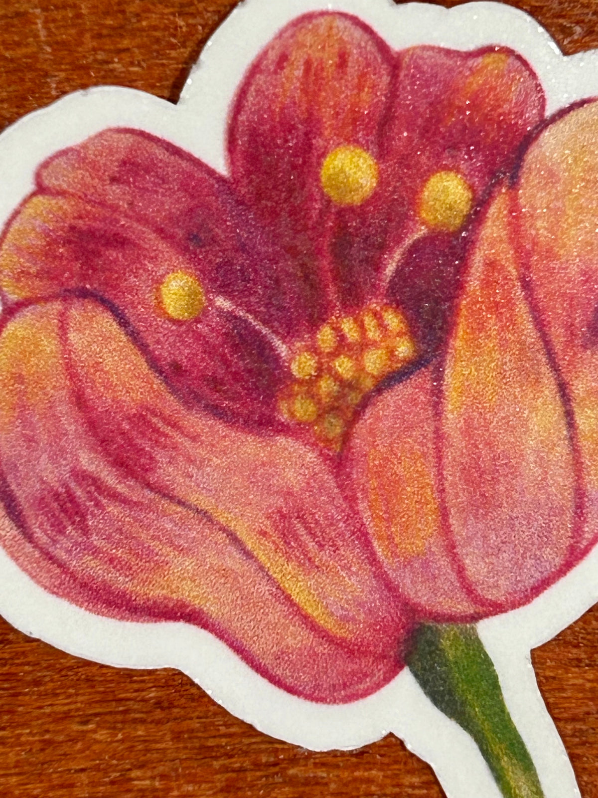 Tulips of love | Waterproof vinyl Sticker