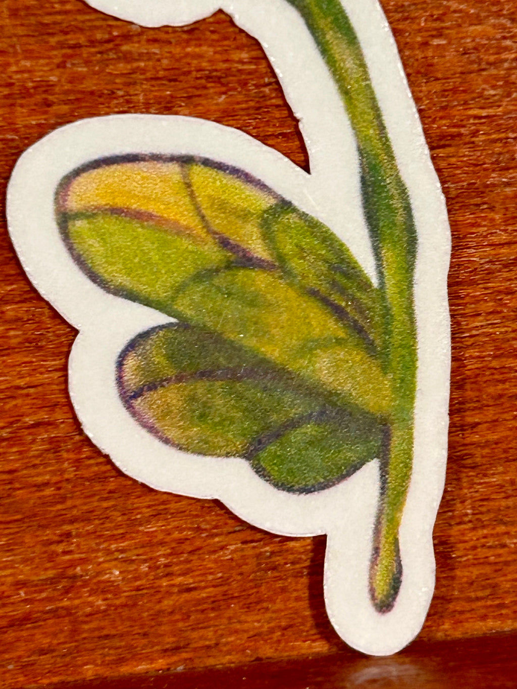 Tulips of love | Waterproof vinyl Sticker