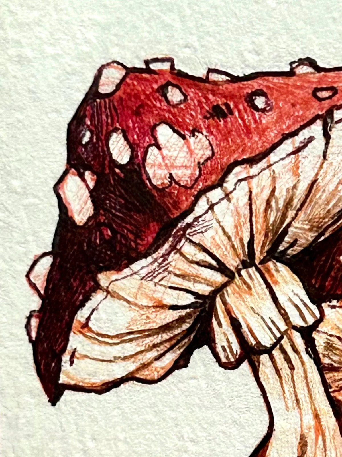 ACEO Mushroom 1