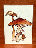 ACEO Mushroom 2