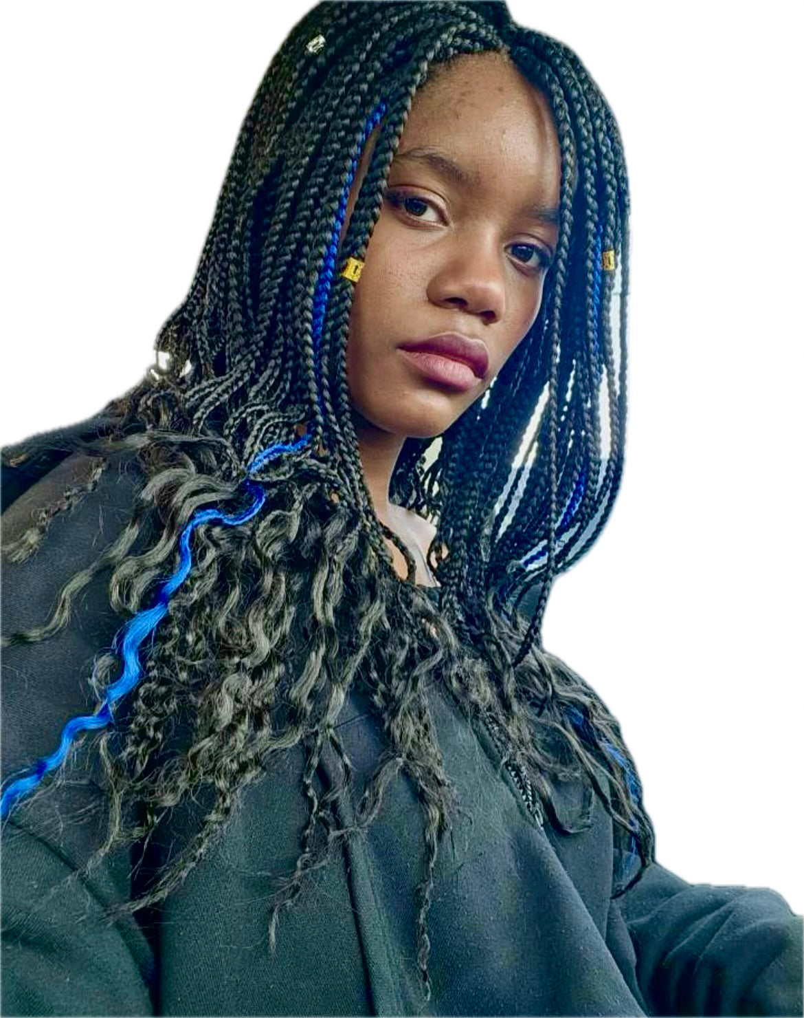 Sug with braided hair featuring blue highlights on a plain background