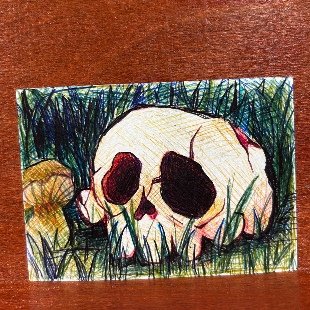 Full view of the original ink illustration titled Forgotten featuring a human skull sitting in dark green cross-hatched grass next to a small mushroom by Canvas of Sug.